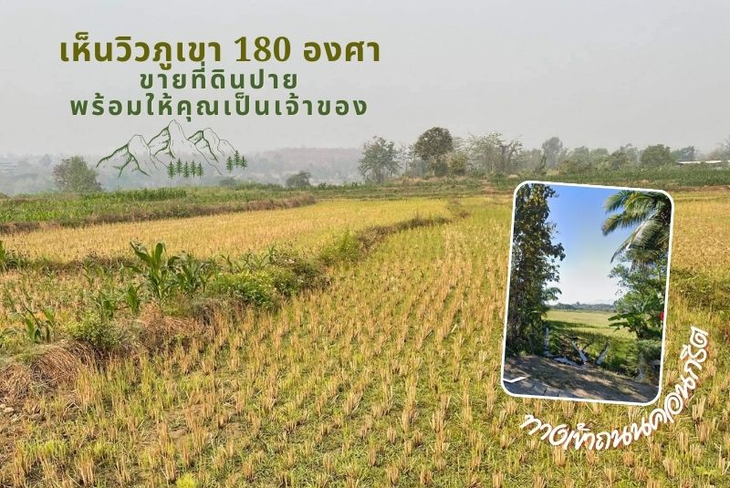 ขายที่ดินปาย น้ำไฟเข้าถึง วิว 180 องศา ตั้งแต่พระอาทิตย์ขึ้นจนพระอาทิตย์ตก