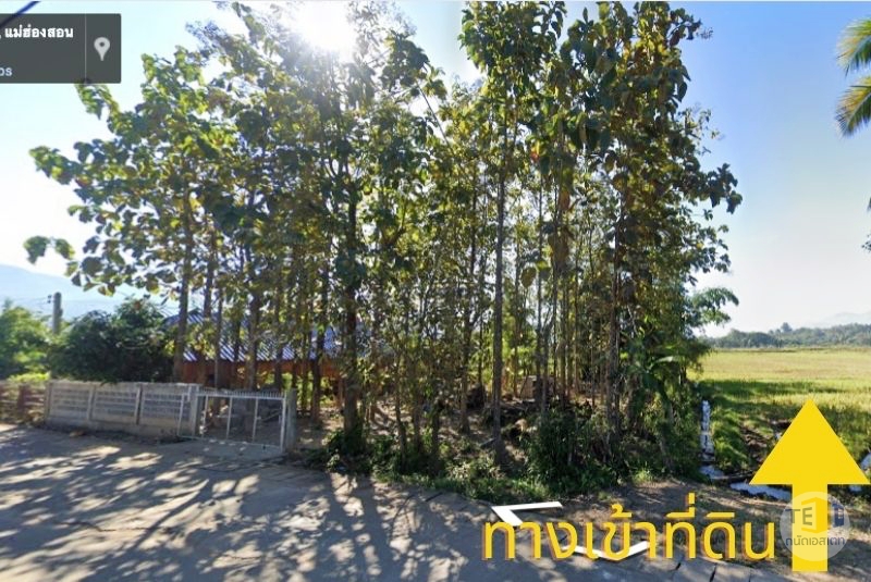 ขายที่ดินปาย น้ำไฟเข้าถึง วิว 180 องศา ตั้งแต่พระอาทิตย์ขึ้นจนพระอาทิตย์ตก