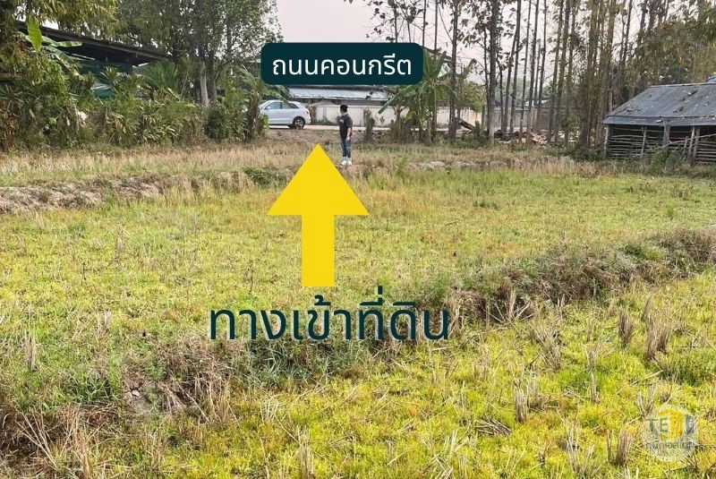 ขายที่ดินปาย น้ำไฟเข้าถึง วิว 180 องศา ตั้งแต่พระอาทิตย์ขึ้นจนพระอาทิตย์ตก