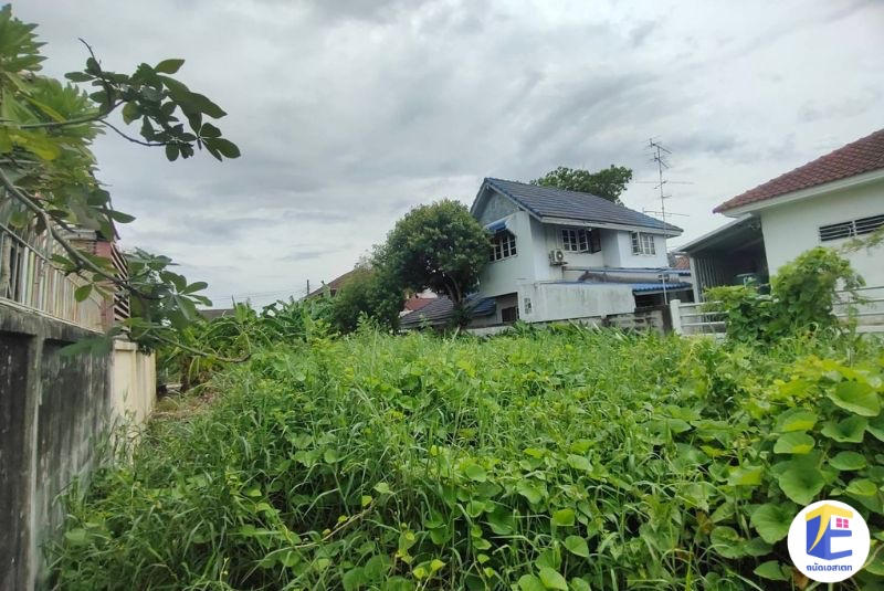 ขายที่ดินพุทธมณฑลสาย 2 ​ซอยพัฒนาการ เนื้อที่ 66 ตร.ว 
