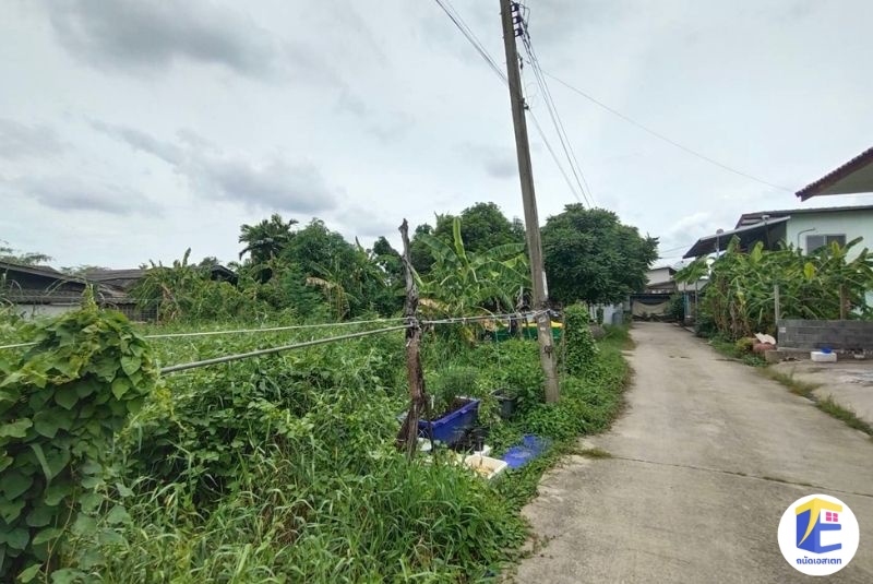 ขายที่ดินหนองแขม 90 ตร.ว. ถมแล้ว! หน้ากว้าง 24 เมตร แปลงสวยทำเลเลียบคลองภาษีเจริญฝั่งใต้ ใกล้รร.สารสาสน์วิเทศหนองแขม