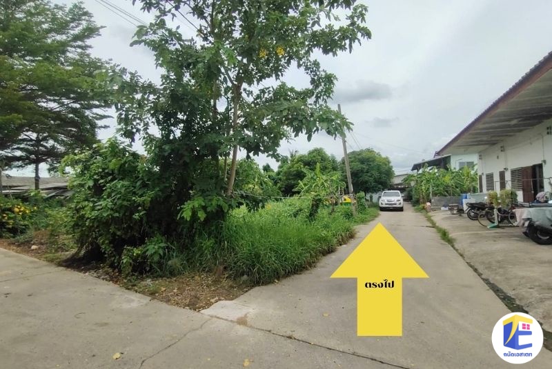 ขายที่ดินหนองแขม 90 ตร.ว. ถมแล้ว! หน้ากว้าง 24 เมตร แปลงสวยทำเลเลียบคลองภาษีเจริญฝั่งใต้ ใกล้รร.สารสาสน์วิเทศหนองแขม
