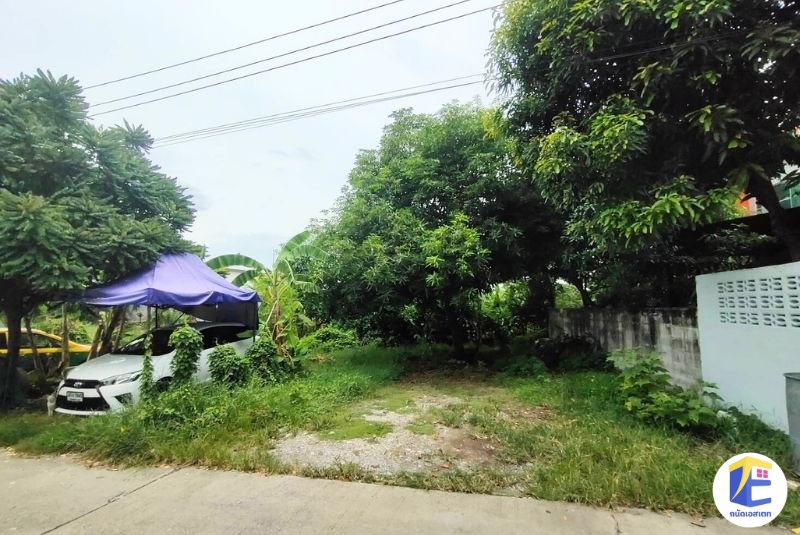 ขายที่ดินหนองแขม 90 ตร.ว. ถมแล้ว! หน้ากว้าง 24 เมตร แปลงสวยทำเลเลียบคลองภาษีเจริญฝั่งใต้ ใกล้รร.สารสาสน์วิเทศหนองแขม