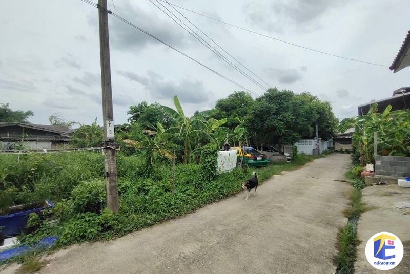 ขายที่ดินหนองแขม 90 ตร.ว. ถมแล้ว! หน้ากว้าง 24 เมตร แปลงสวยทำเลเลียบคลองภาษีเจริญฝั่งใต้ ใกล้รร.สารสาสน์วิเทศหนองแขม