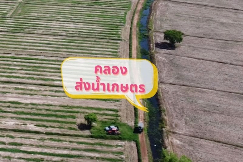 ขายที่ดินนครนายก ใกล้ โรงเรียนนายร้อย จปร. บนเนื้อที่ 14 ไร่ 1 งาน 27 ตร.ว. น้ำประปา ไฟฟ้า เข้าถึง เรียบร้อย