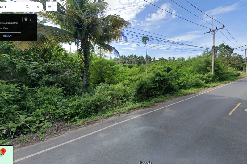 ขายด่วน! ที่ดินสุราษฎร์ธานี ใจกลางเมืองสุราษฎร์ฯ 13 ไร่กว่า