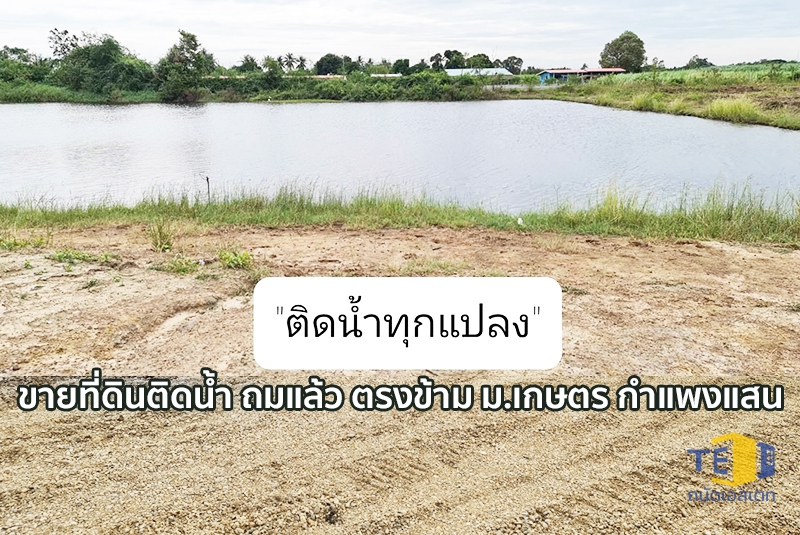 ขายที่ดินกำแพงแสน 14 ไร่ ใกล้ ม.เกษตรฯ ลดกระหน่ำ 10 ล้าน! เหมาะทำหอพัก บ่อตกปลา บ้านสวนริมน้ำ