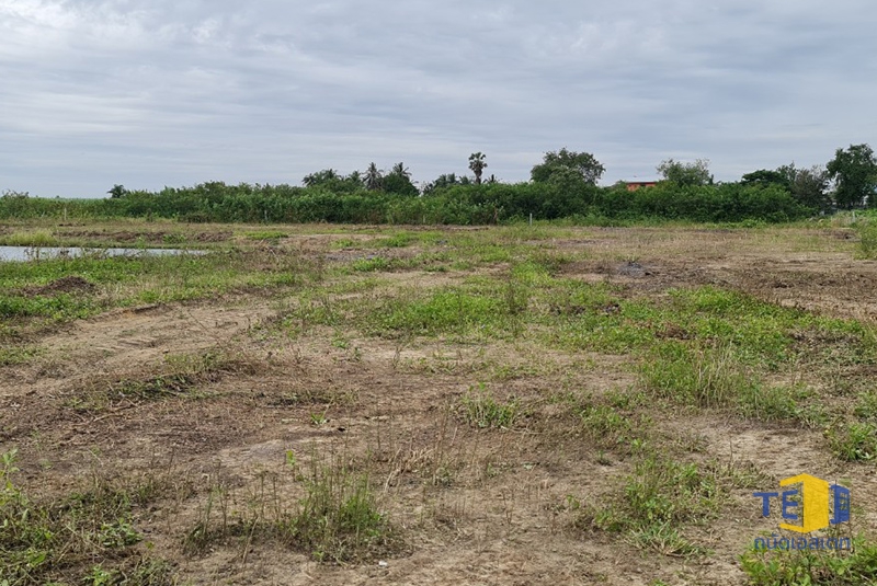 ขายที่ดินกำแพงแสน 14 ไร่ ใกล้ ม.เกษตรฯ ลดกระหน่ำ 10 ล้าน! เหมาะทำหอพัก บ่อตกปลา บ้านสวนริมน้ำ