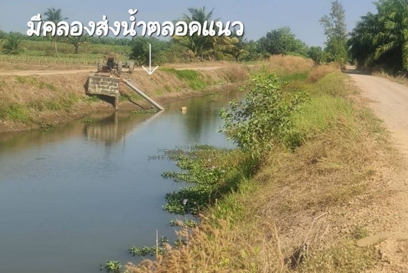 ขายที่ดินคลอง 9  ถ.รังสิต-นครนายก ที่ดินติดคลอง