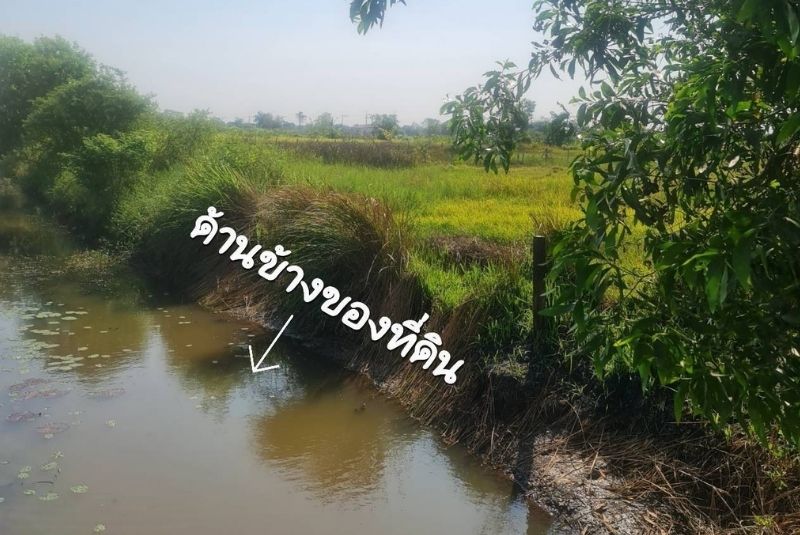 ขายที่ดินคลอง 9  ถ.รังสิต-นครนายก ที่ดินติดคลอง
