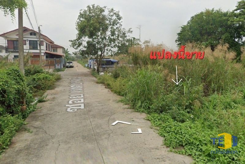 ที่ดิน กันตนา เนื้อที่ 83 ตรว. ติดถนนคอนกรีต ติดถนน  16 เมตร ลึก 20 เมตร เหมาะปลูกบ้าน